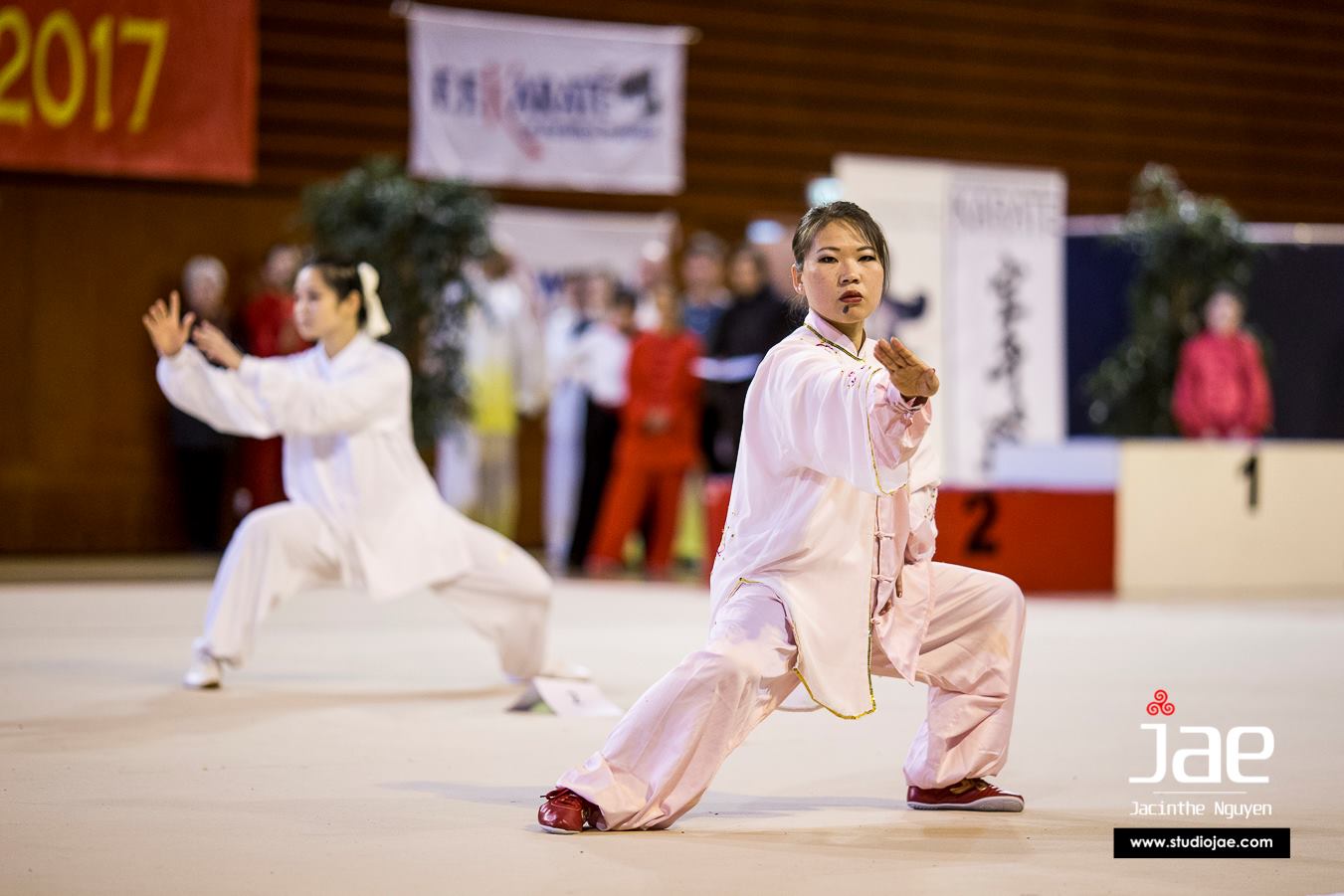 Pratique du Wushu à Brest